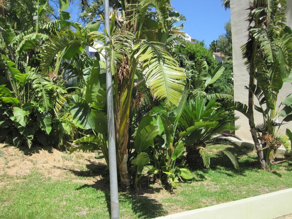 Fan Flat Torremolinos Apartment Exterior foto